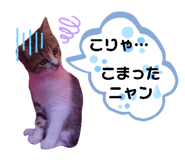 371359887