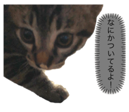 371361923