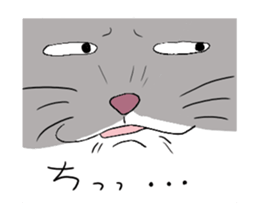 3715011