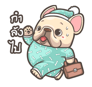 พิกุ - เฟรนช์ บูลด็อก 15 รูปที่ 1