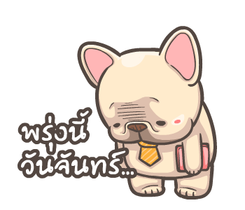 พิกุ - เฟรนช์ บูลด็อก 15 รูปที่ 6