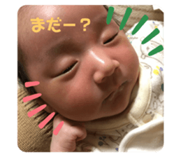 371648492