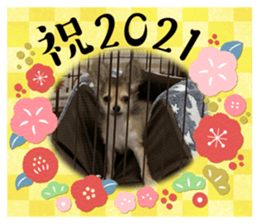 371650209