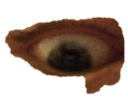371716834