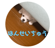 371910335