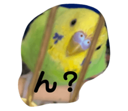371918300