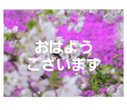 371974886
