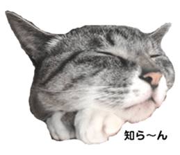 372014401