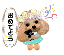 372114264