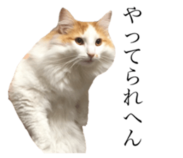 372127873