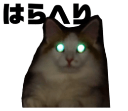 372127893