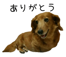 37213464