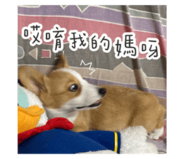 372137218