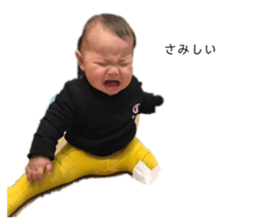 372308268