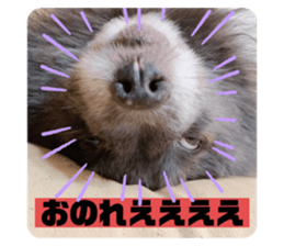 372468636