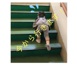 372480767