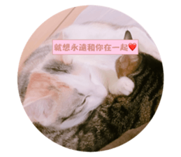 37248493