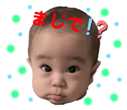 372496337