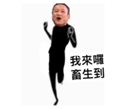 372504889