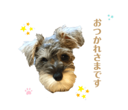 372514511