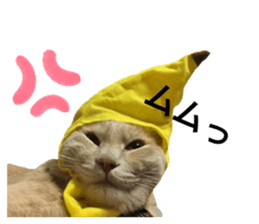 372535171