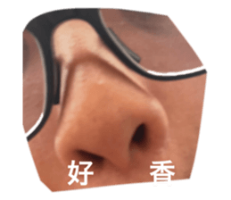 372577864