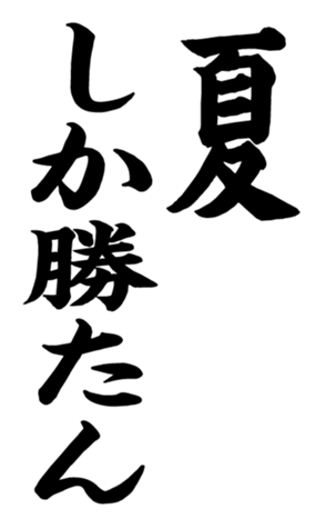 372592719