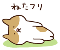 3726237