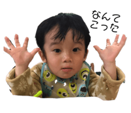 372684021