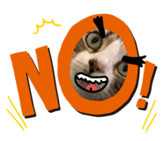 372728928