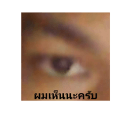 372738556