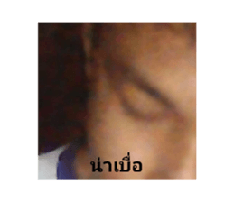 372738557