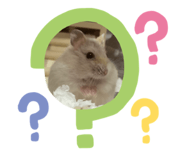 372766932
