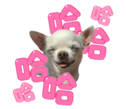 372801977