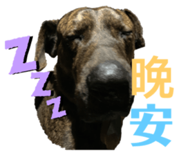 372829574
