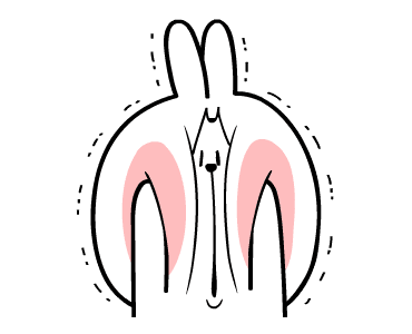 ลายที่ 43