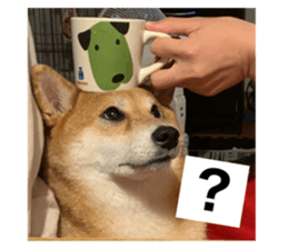 372998166