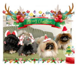 373021373
