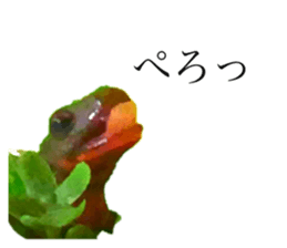 373045037