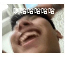 373082865