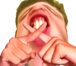 373086244