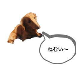373116975