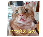 373225048