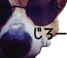373243357