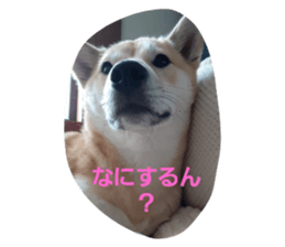373252980