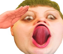 373316412
