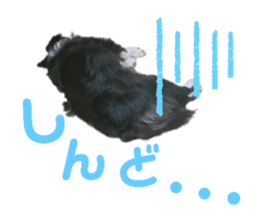 373317171