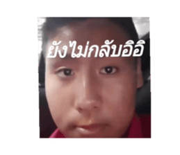373392736