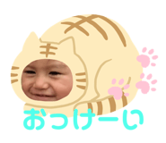 373440208