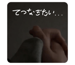373441031